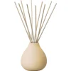 Aery Living Fernweh Himalayan Cedarleaf Diffuser 200ml Online