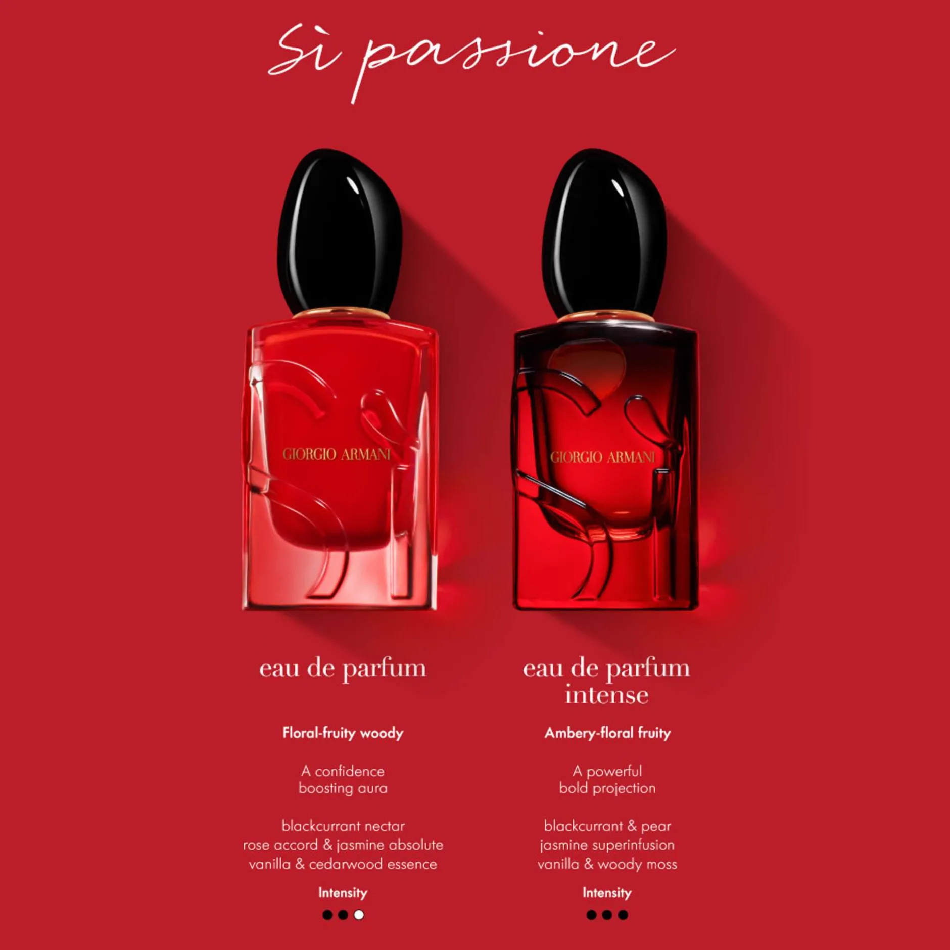 Armani Si Passione Eau de Parfum Spray 100ml
