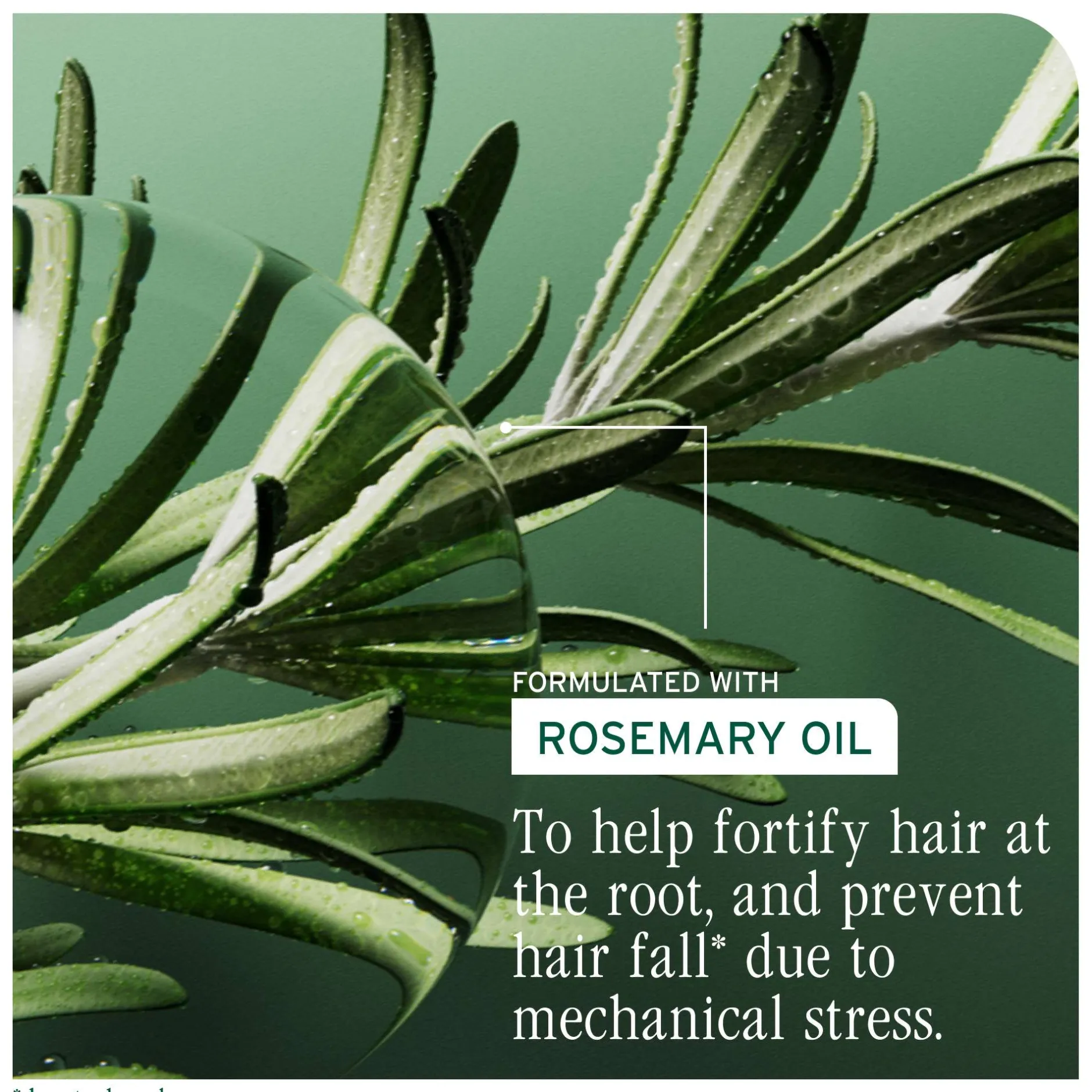Biolage Full Rescue Aminexil Treatment 10 x 6ml Clearance