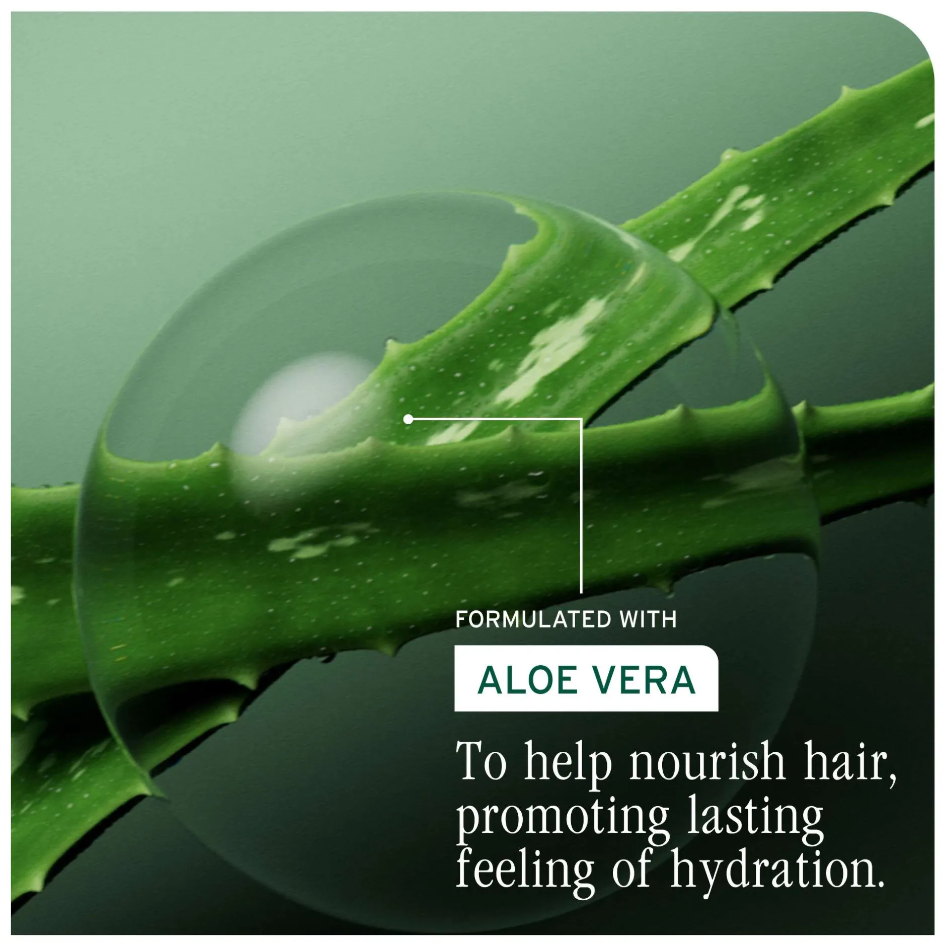 Biolage HydraSource Shampoo 400ml Online