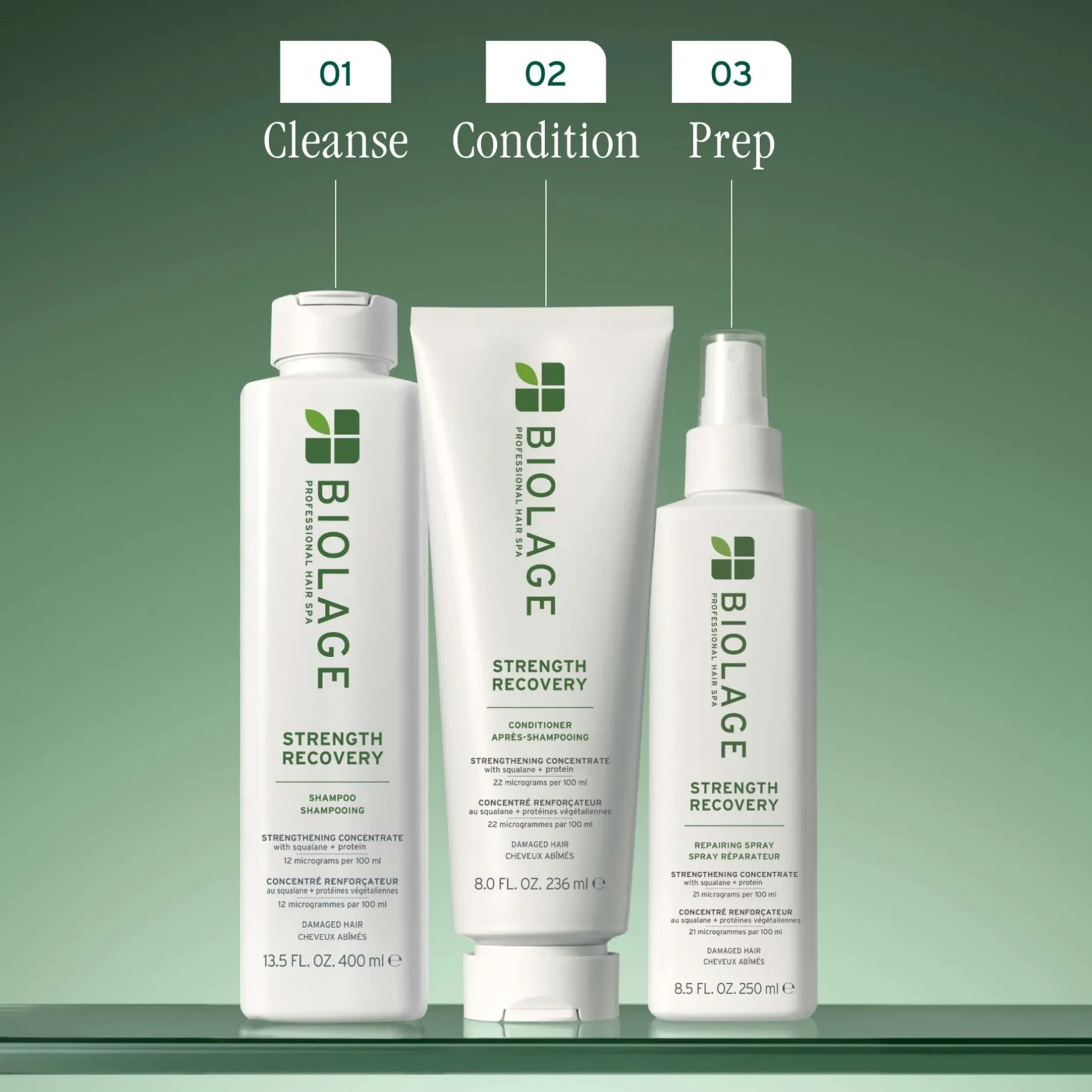 Biolage Strength Recovery Repairing Spray 250ml Outlet