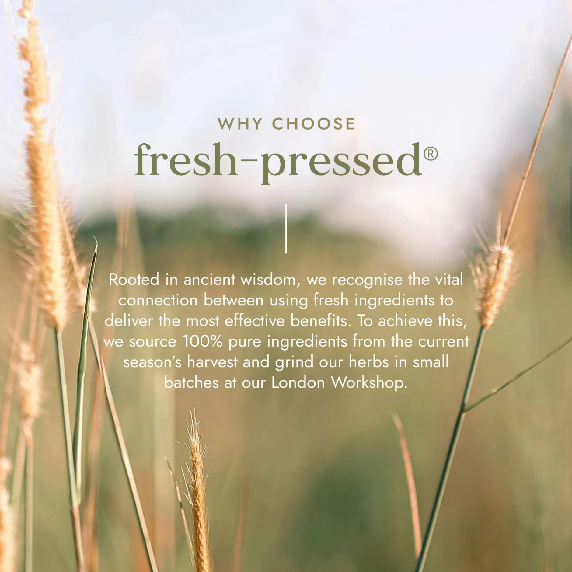 Fushi Natural Cold-Pressed Juices Organic Aloe Vera Juice 500ml Sale