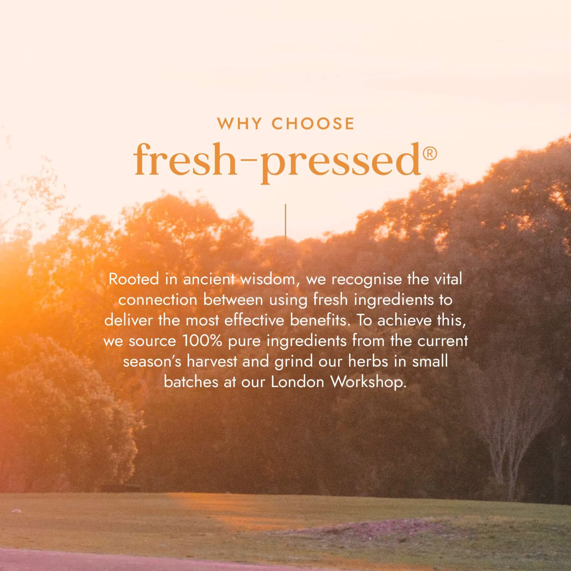 Fushi Natural Cold-Pressed Juices Turmeric Juice 500ml Hot
