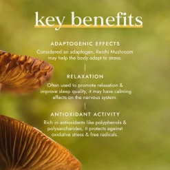Fushi Single Herb Supplements Organic Reishi Mushroom x 60 Capsules Sale