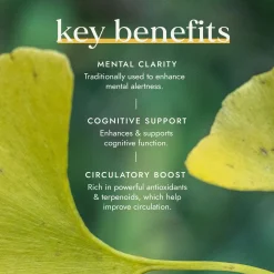 Fushi Single Herb Supplements Organic Ginkgo Biloba x 60 Capsules Sale
