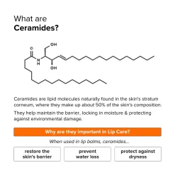 Minimalist Lip & Eye Care Ceramide Lip Balm SPF30 8g Online