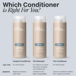 Paul Mitchell Original The Detangler Supersize 1000ml Outlet