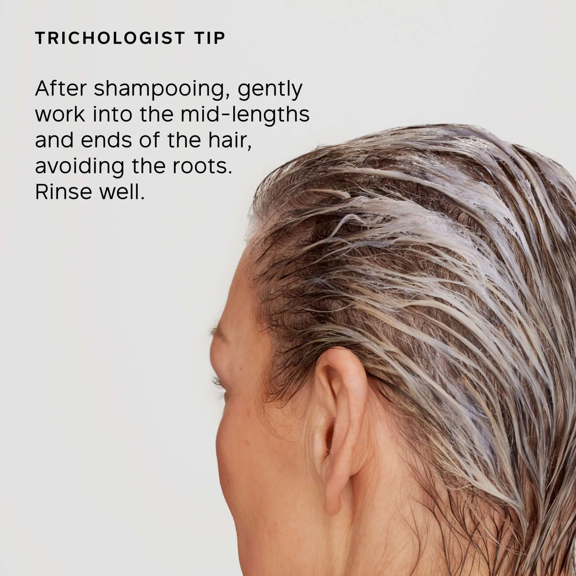Philip Kingsley Conditioner Pure Blonde / Silver Daily 1000ml Sale