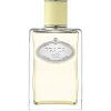 Prada Infusion de Gingembre Eau de Parfum Spray 100ml Online