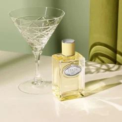 Prada Infusion de Gingembre Eau de Parfum Spray 100ml Online