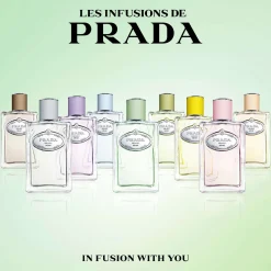 Prada Infusion de Gingembre Eau de Parfum Spray 100ml Online