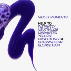 Redken Color Extend Blondage Purple Shampoo 300ml Best