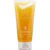 Sisley Exfoliants And Face Masks Buff and Wash Botanical Facial Gel 100ml Discount