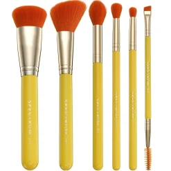 Spectrum Everyday Sets Picante 6 Piece Brush Set Online